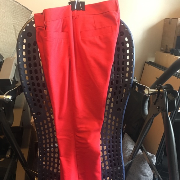 Express Pants - Express Dress Pants - New - Barely Boot Cut
